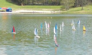 Regata FOOTY dscn3608.jpg