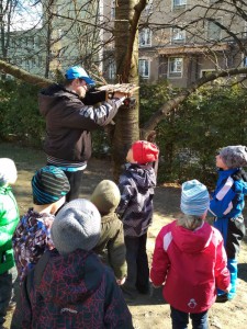 Upevnění krmítka na strom 24_hotove-krmitko-povesime-venku-na-strom.jpg