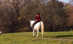 Svatý Martin na bílém koni již odjíždí 14a_a-martin-na-bilem-koni-odjizdi.jpg