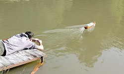 Model EX-500 ex-500-.jpg